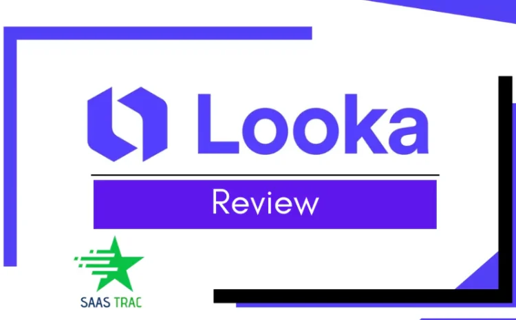 looka-review-2025