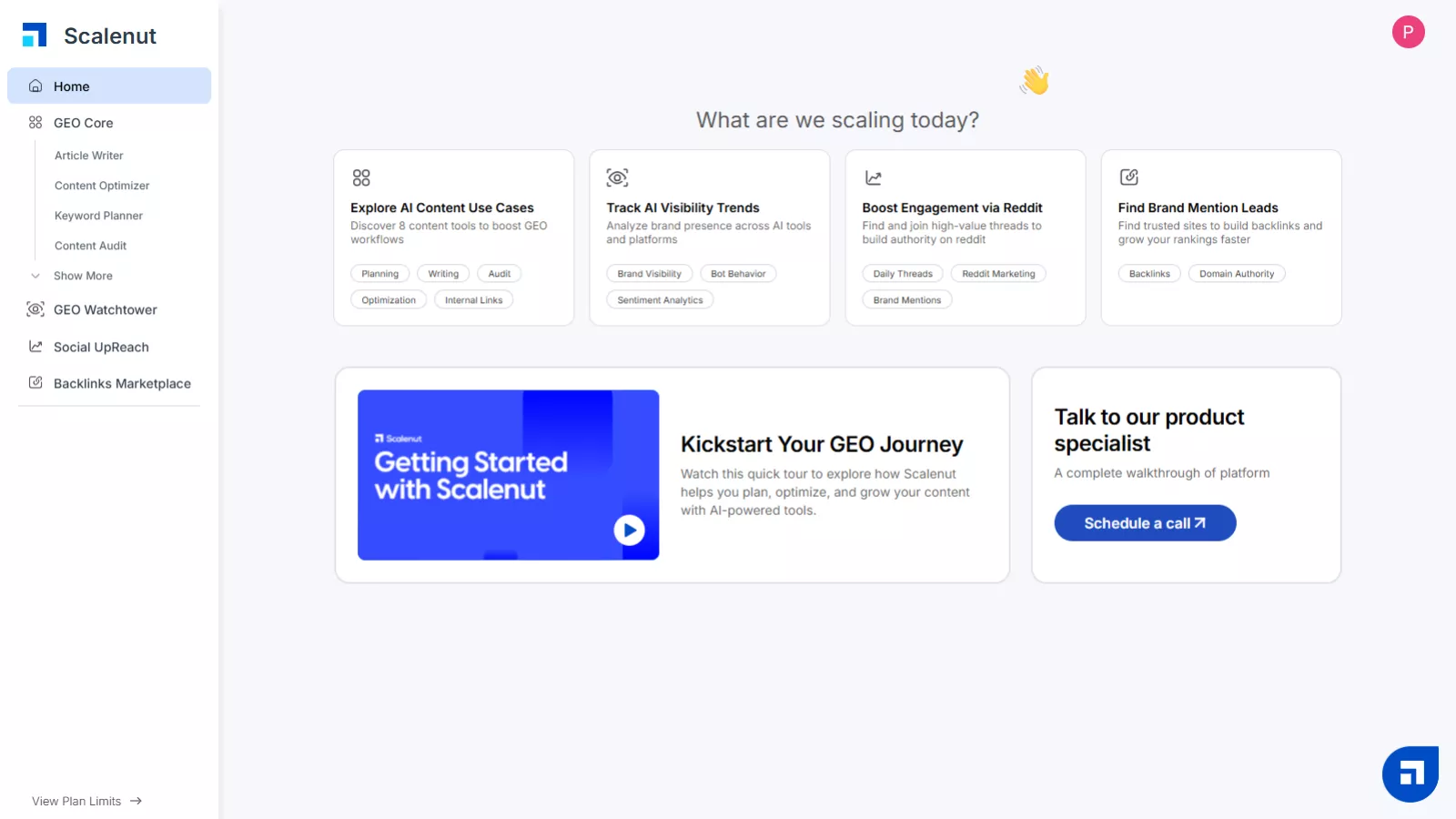 scalenut-dashboard